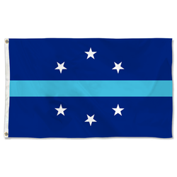 Anaheim, California Flag(2018-present)