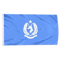 The Somali Police Force Flag Banner