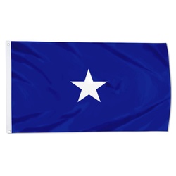 A United States Air Force brigadier general Flag Banner