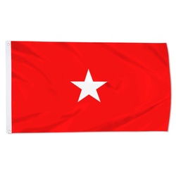 A United States Army brigadier general Flag Banner