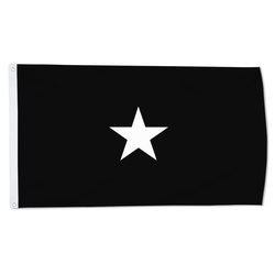 A United States Space Force brigadier general Flag Banner