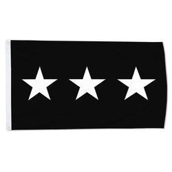 A United States Space Force lieutenant general Flag Banner