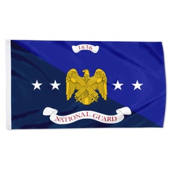 The National Guard Bureau Flag Banner