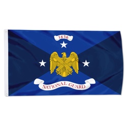 The Vice Chief of the National Guard Bureau Flag Banner