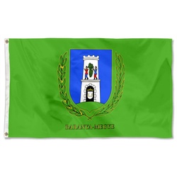 Baranya megye, Hungary Flag  Banner