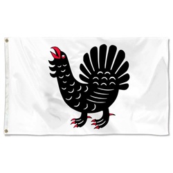 Central Finland Region, Finland Flag Banner