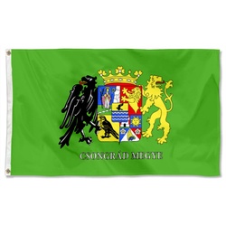 Csongrad Megye, Hungary Flag Banner