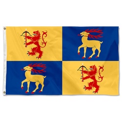 Arms Kalmar County Flag  Banner