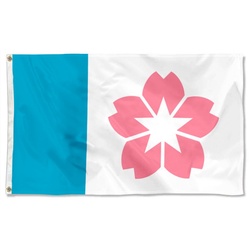 Salem, Oregon Flag Banner