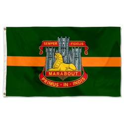Devonshire and Dorset Regiment British Army Flag Banner