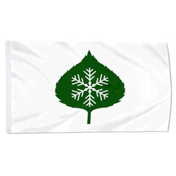 Aspen, Colorado Flag Banner