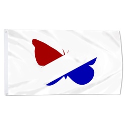 Hermanas Mirabal Province, Dominican Rep Flag Banner