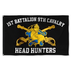 9th Cavalry Flag Banner