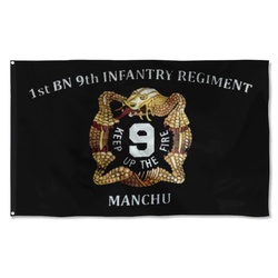 9th IN. Flag Banner