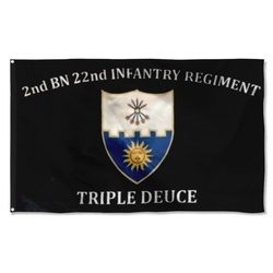 22nd IN.  Custom Guidon Flag Banner