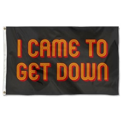I Came To Get Down Flag Banner