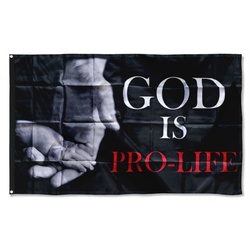 God is Pro-Life Flag Banner Hands