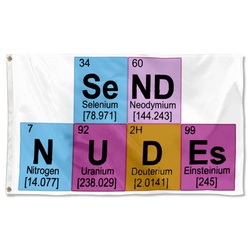 Send Nudes Flag Banner