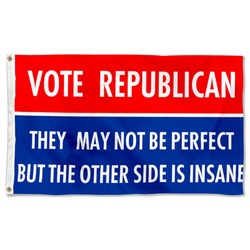 Vote Republican They May be Perfect But the other side is insame Flag Banner