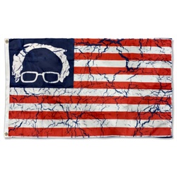 Bernie Sanders Hair Flag Banner