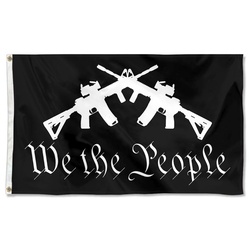 WE The People America Desantis Flag Banner