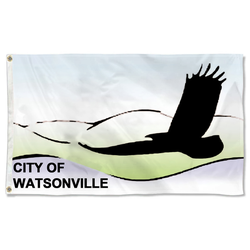 Watsonville, California Flag