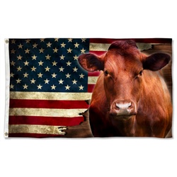 Red Angus Cattle American Flag Banner 41512