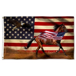 Horse Patriot Horse American Eagle US TRL Flag Banner 41760