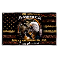 America Was Born On My Land Native American Flag Banner 41816