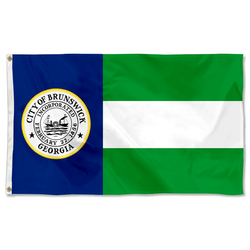Brunswick, Georgia flag