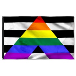 LGBT Ally Pride Month Flag Banner 42706
