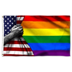 Pride LGBT American Flag Banner 42710