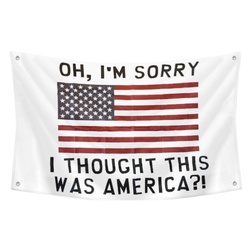 South Park OH I AM SORRY, I THOUGHT THIS WAS AMERICA Flag Banne