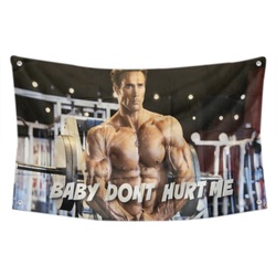 Mike O Hearn Baby Do not Hurt Me Flag Banner