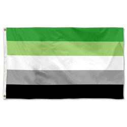 Aromantic Pride Flag Banner