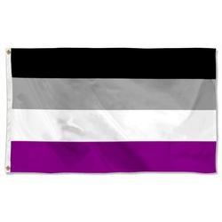 Asexuality Pride Flag Banner