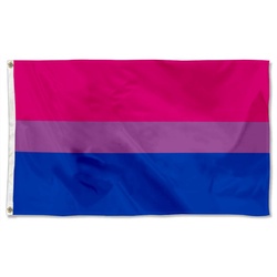 Bisexual Pride Flag Banner