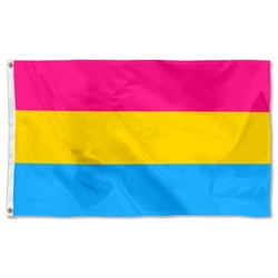 Pansexual Pride Flag Banner