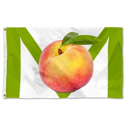 Impeach Flag Banner
