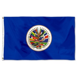 Organization of American States (OAS) Flag Banner