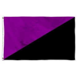 Anarcha Feminism Flag Banner
