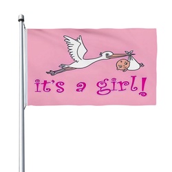 It is A Girl Flag Banner