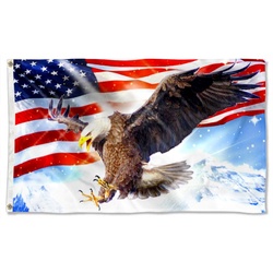 American Pride Eagle Light Sky Flag Banner