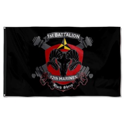 1st Battalion 12 Regiment Flag Banner