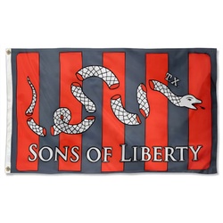 Sons of Liberty Rough Flag Banner