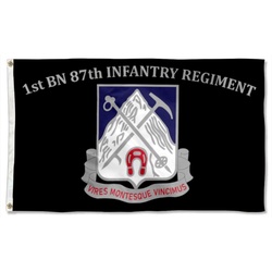 1st BN 87th Infantry Regiment Flag Banner