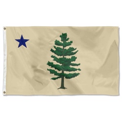 New 2024 Maine Flag Banner