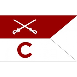 The guidon single flag 3x5ft