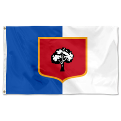 Lisbon, Ohio Flag