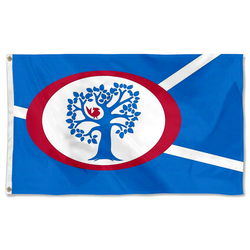 Annandale, Texas Flag
